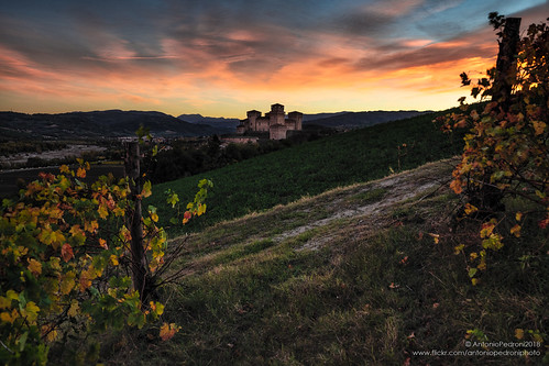 Autumn in Italy by antoniopedroni photo, tramonto a Torrechiara un paio di giorni fa...tramonto sunset torrechiara sony 1635f4zeiss vigneto l