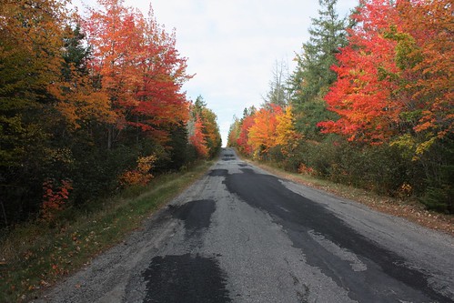 oldridge maxwellcrossing newbrunswick canada fall foliage leaves colors road trees