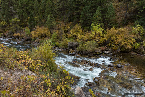 bighornmountains bighornnationalforest dayton wyoming tongueriver tonguerivercanyon flowing water october fall autumn foliage color colorful rapids nikond750 tamron2470mmf28