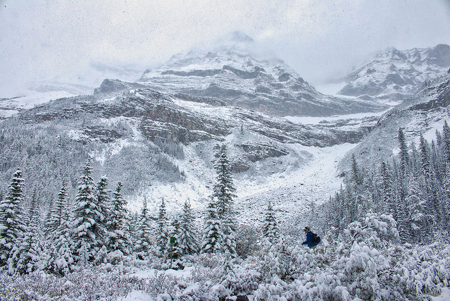 Mount Lefroy seen across the Plain of Six Glaciers, in a snowstorm