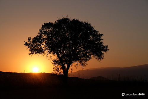 Amanecer de verano by PhotoLanda, Chimeneas
Comarca de Alhama
Andalucíaamanecer andalousie andalouzia andalucia andalusia andalusianvi