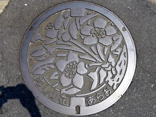 manhole flower arao kumamoto japan
