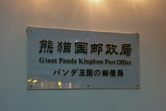 Photo 1 of 3 in the Day 7 - Chengdu Panda Sanctuary gallery