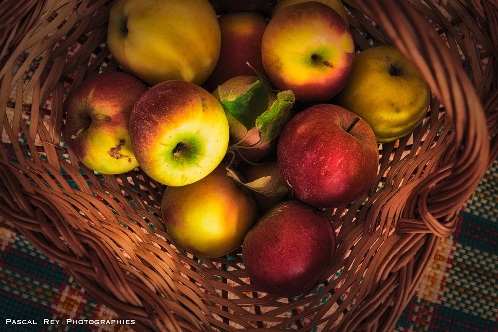 Les pommes de mon jardiner sont sans pesticides...._DSC4577_edit