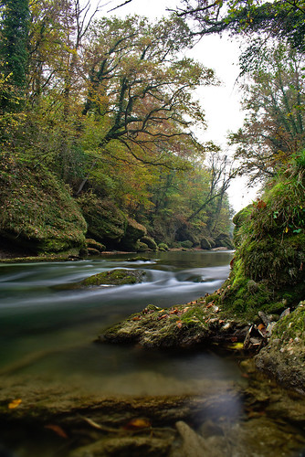 river water landscape herbst austria longtimeexposure autumn nature nikon