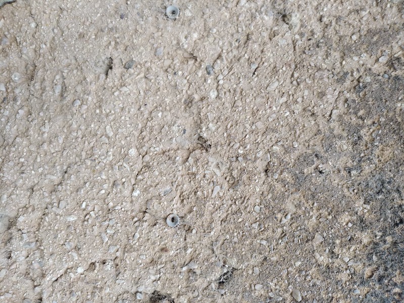 Concrete wall texture #01