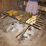 Grillgut bei den Kichwa im östlichen Ecuador