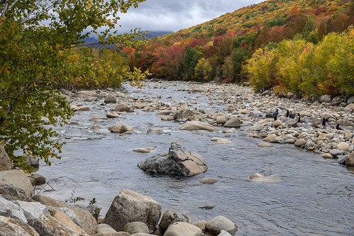newhampshire places kancamagushighway lincoln east branch pemigewasset river autumn color foliage loonmountain