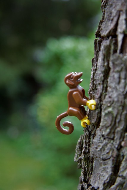 Affe klettert auf einen Baum