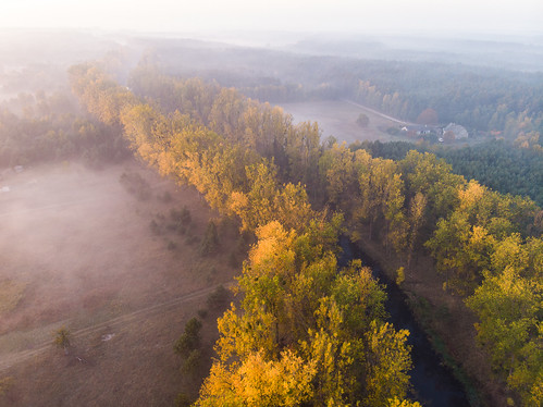 murowaniec aerial air canal dji djiair drone fog forest landscape mist sky sunrise tree water