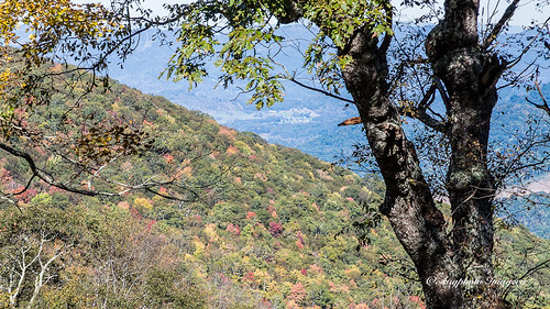 augphotoimagery blueridgeparkway autumn fall landscape mountains nature outdoors scenic trees waynesville northcarolina unitedstates