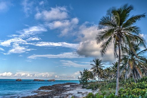 exuma hdr thebahamas bs coconut tree beach ocean clouds bluesky