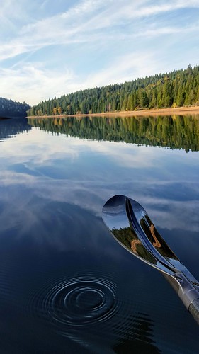 sugarpinereservoir kayaking paddling lake california pine trees fall scenic nature water reflection