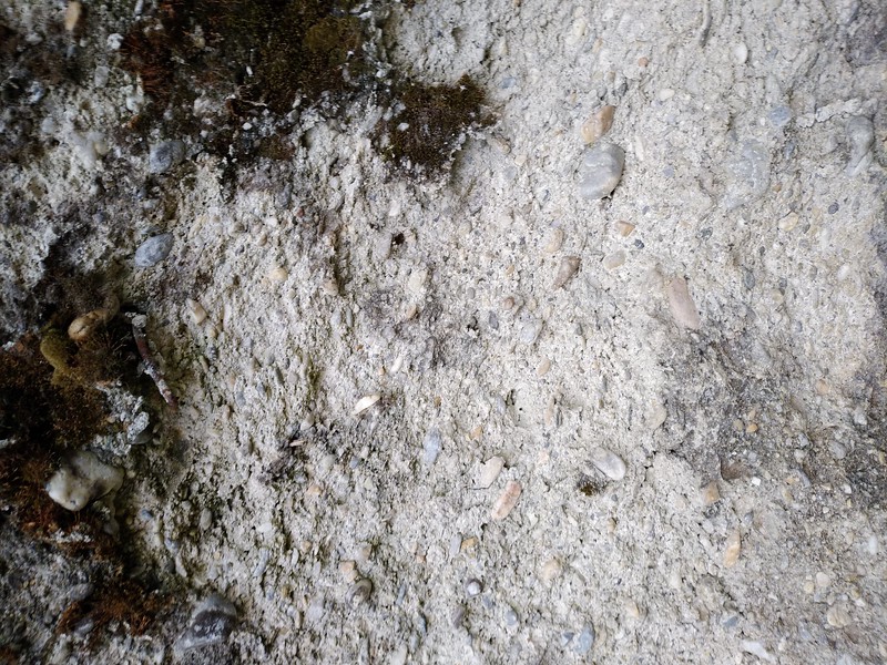 Concrete texture #01