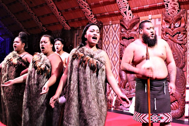maori cultural performance at the waitangi treaty grounds, aotearoa / new zealand