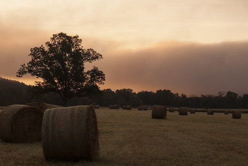 bethesda arkansas whiteriver clouds fog farms fields roads dawn sunrise morning