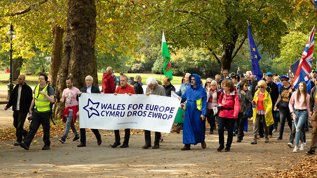 Welsh marchers | People's Vote March | March for the Future-2