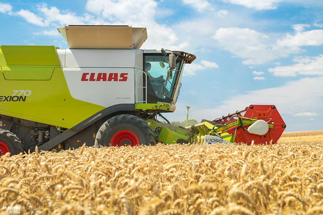 Wheat Harvest | CLAAS