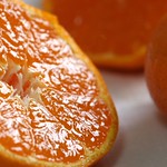 Japanese Orange