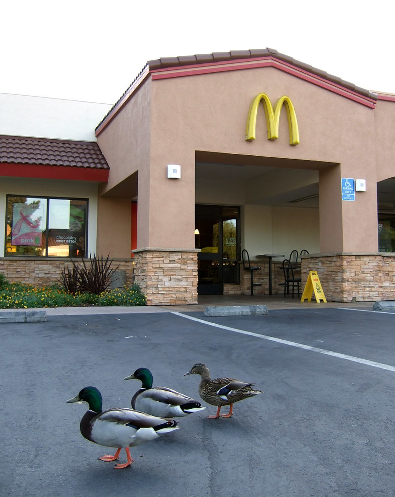 McDonald's