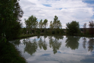 Estanque en calma rodeado de árboles en las aguas termales de Escondido Place, Guanajuato
