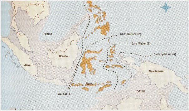 Gambar Peta Zoogeografi Kepulauan Indonesia | via Blogger bi… | Flickr