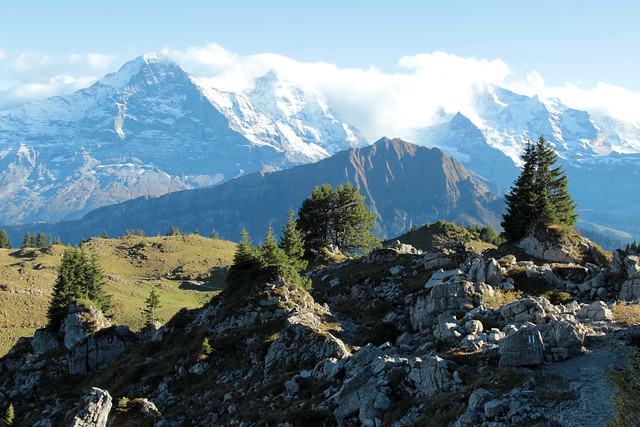 Berner Dreigestirn Eiger ( BE - 3`970m ) - Mönch ( BE-VS - 4`107m ) - Jungfrau ( BE-VS - 4`158m ) mit Jungfraujoch dazwischen ( Berg montagne montagna mountain ) in den Berner Alpen - Alps im Berner Oberland im Kanton Bern und Wallis - Valais der Schweiz