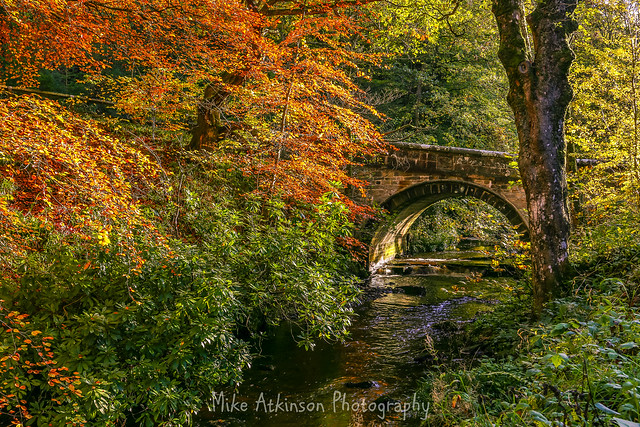 Autumn At The Grove Bridge.