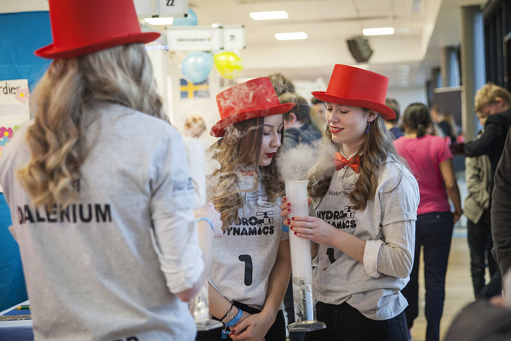 Skandinavisk finale 2017