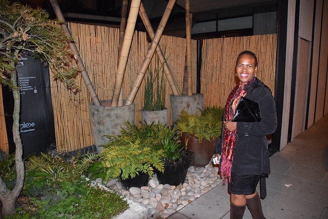 DSC_1041 Shoreditch London Willow Street Nobu Japanese Hotel Bar and Restaurant with Dee from Botswana