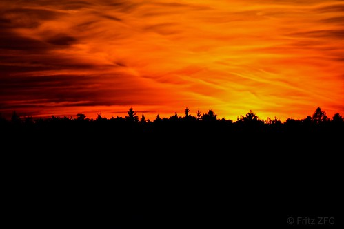 sundown sunset sonnenuntergang coucherdusoleil matahariterbenam paglubogngaraw tramonto 日没 일몰 zonsondergang puestadelsol elocaso lúcmặttrờilặn horizont forest skyline horizonte colored illusiondecouleur dusk ultravivid vividcolored couleurvive coloresvivos space surroundings
