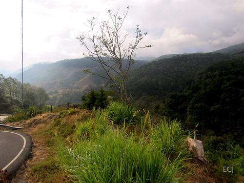 valle nubes naturaleza pendiente ladera montaña colina caminata vegetación arbusto