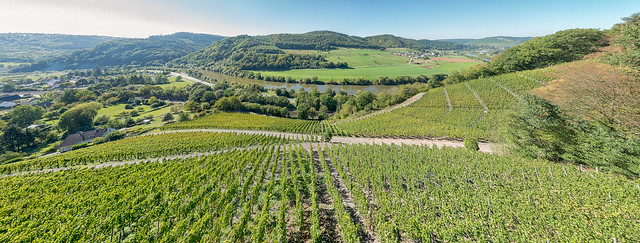 Panorama over river Saar with vineyards from Schloss Saarstein