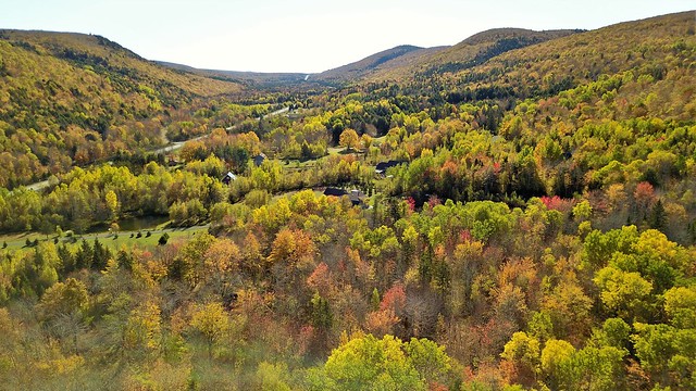 Fall Foliage in Wentworth Valley
