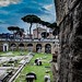 Il genio dà inizio alle opere belle, ma soltanto il lavoro le compie. — Joseph Joubert Buongiorno dai #MercatiDiTraiano. Pronti a passare un'altra settimana con noi alla scoperta dello straordinario patrimonio dei @museiincomuneroma? • :camera: credits @m