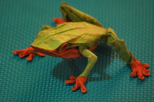 Red eyed treefrog [refold]