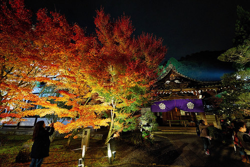 Autumn illumination | by ACJC.S