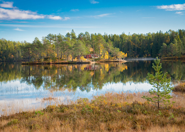 Autumn Lake II, Hessjøen