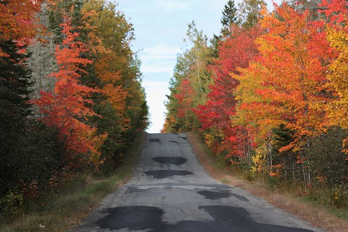 oldridge maxwellcrossing newbrunswick canada road trees leaves fall foliage colors