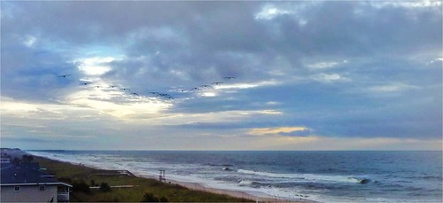 carolina north clouds sunrise waves coastline birds flight