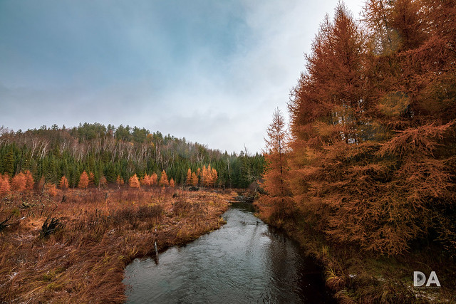 Land O' the Larches (Tamron 15-30 G2 Review)