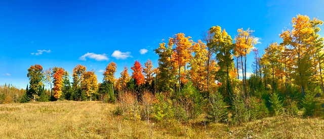 UP of Michigan Fall Colors