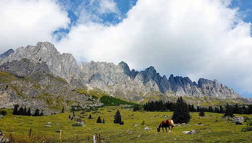 hochkoenig austria trail mountain horse