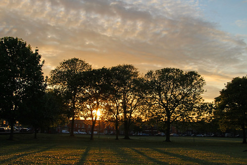 park sunset sthelens england british trees light sun sky clouds