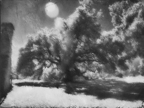 oak tree johnsoncity infrared painterly impressionistic old history lyndonbjohnsonnationalhistoricalpark