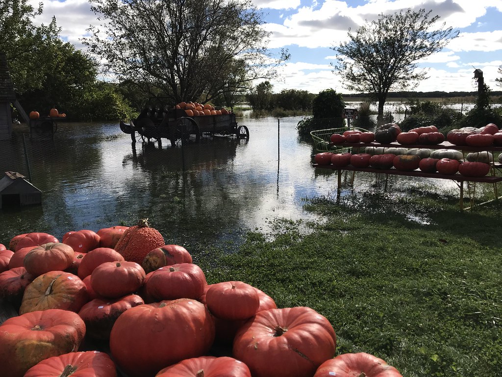 September 2018 Fall Flood Hawk Valley Garden Spencer Io Flickr