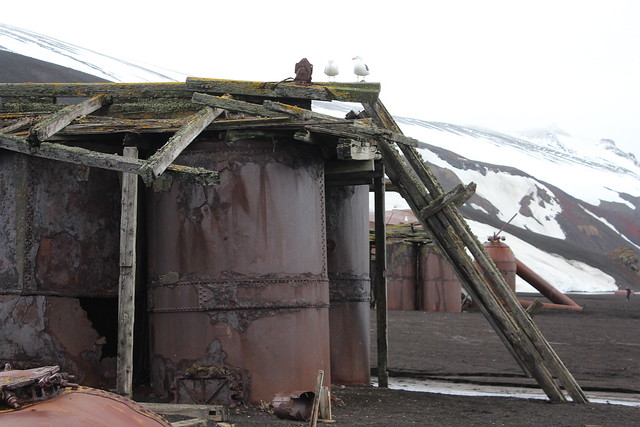 Überreste der Walfangstation auf Deception Island
