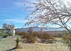Desert Scenery, Anthony, New Mexico (M)
