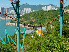 Photo 2 of 25 in the Day 18 - Ocean Park and Hong Kong Sightseeing gallery