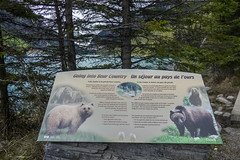Bear info sign at Lake Louise Canada-01 6-12-18